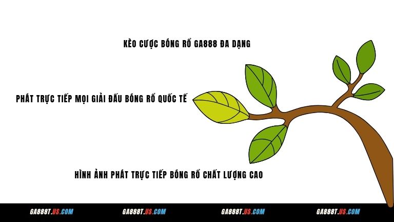 Cá cược Bóng Rổ tại nhà cái GA888 có gì