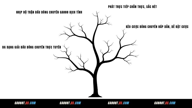 Tính năng nổi bật trong Bóng Chuyền tại GA888